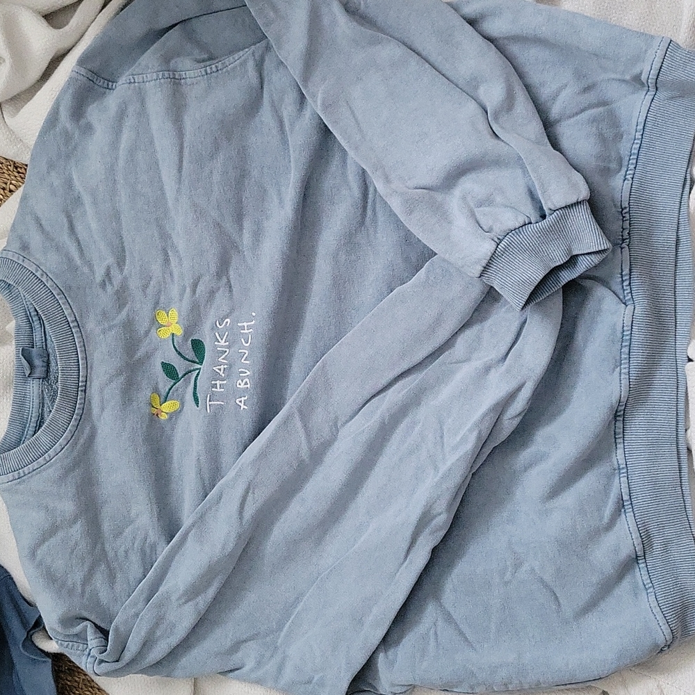 Urban Outfitter's "Thanks a Bunch" vintage blue crewneck size xl/l